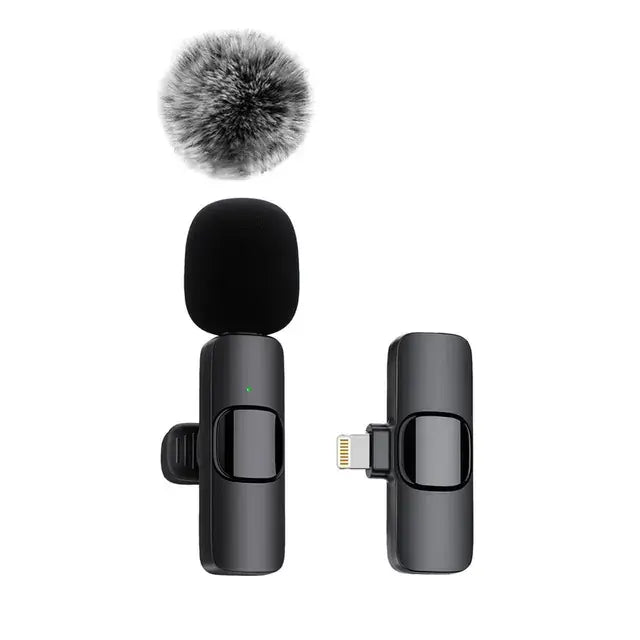 360 Pickup Rechargeable Long Range Wireless Microphone