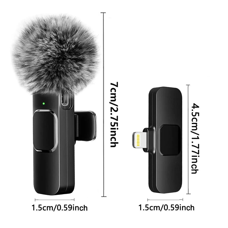 360 Pickup Rechargeable Long Range Wireless Microphone