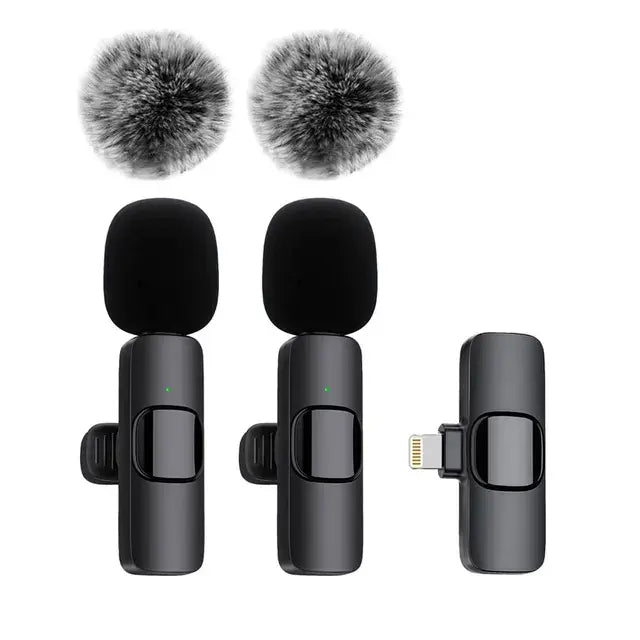 360 Pickup Rechargeable Long Range Wireless Microphone